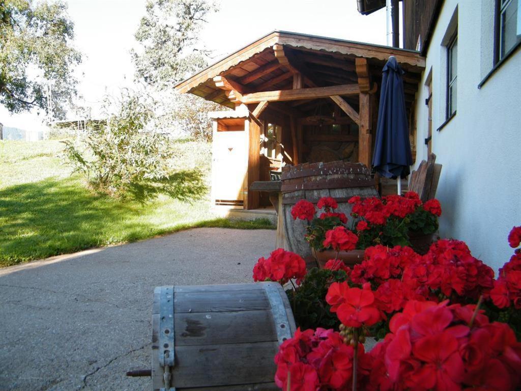 Biobauernhof Schuster Διαμέρισμα Hopfgarten im Brixental Εξωτερικό φωτογραφία